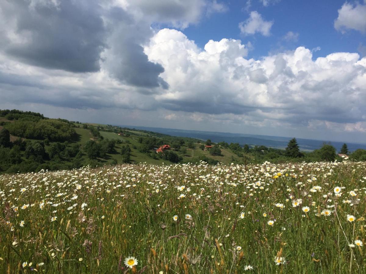 Rose Hip Hill Farm Valea Tirnei Exterior foto