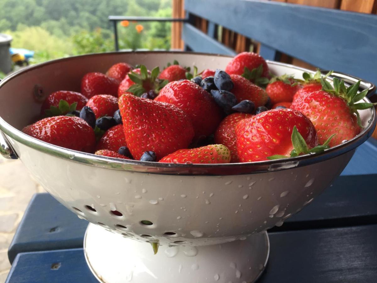 Rose Hip Hill Farm Valea Tirnei Exterior foto