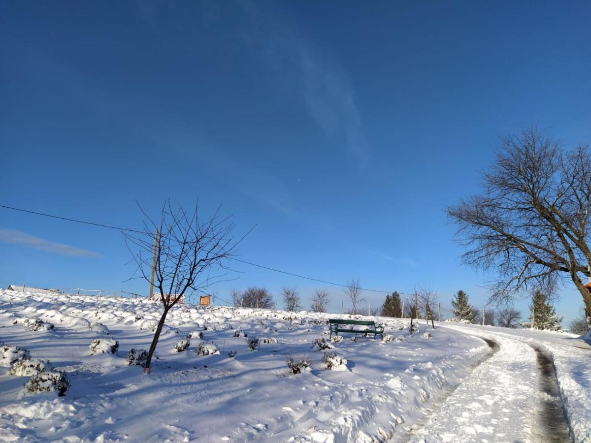 Rose Hip Hill Farm Valea Tirnei Exterior foto