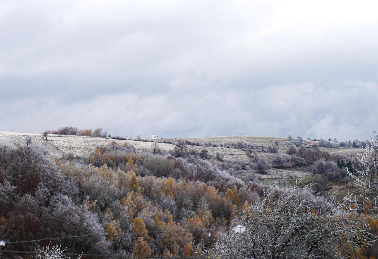 Rose Hip Hill Farm Valea Tirnei Exterior foto