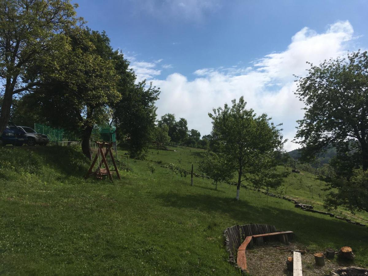 Rose Hip Hill Farm Valea Tirnei Exterior foto