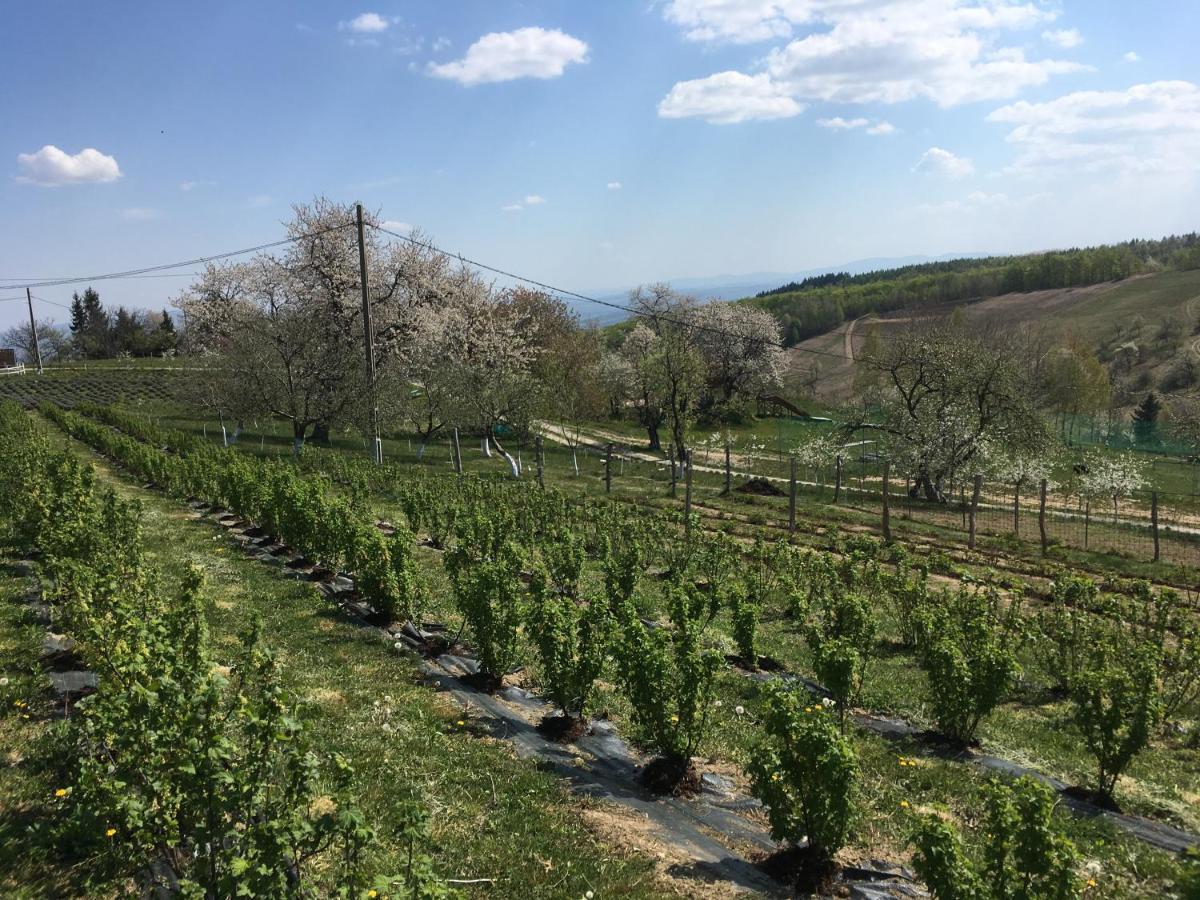 Rose Hip Hill Farm Valea Tirnei Exterior foto
